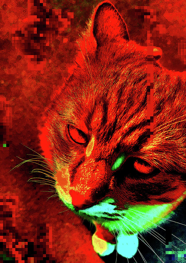 Ginger Cat Digital Art