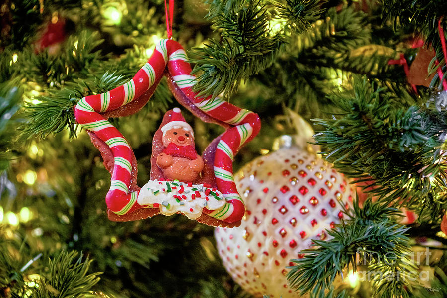 Gingerbread Christmas Ornament Photograph by Jennifer White