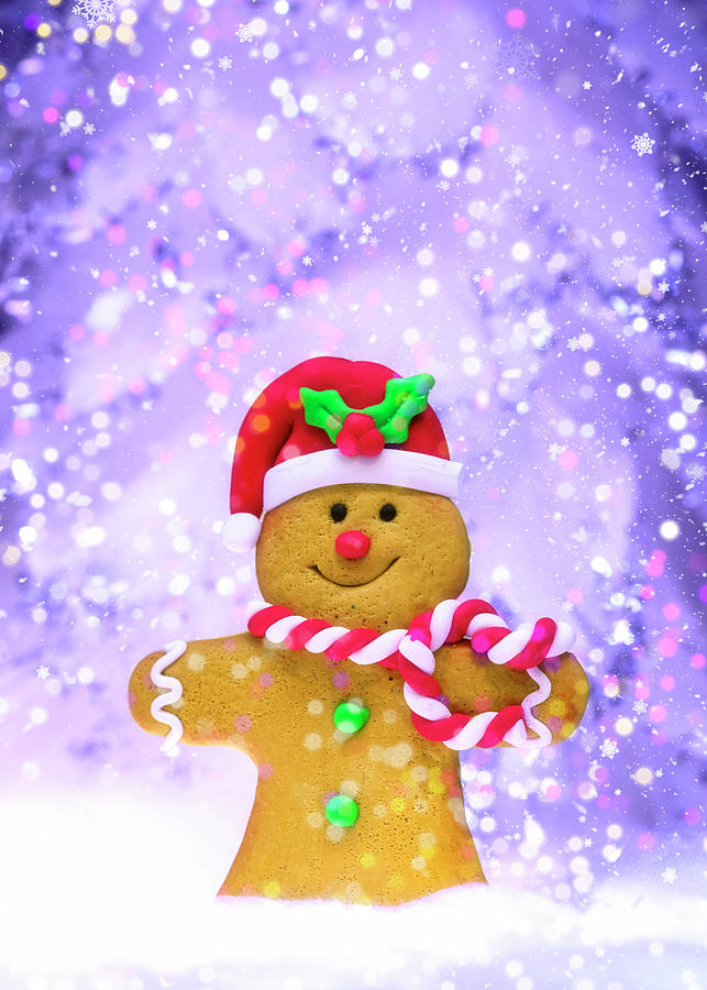 Gingerbread Joy Photograph by Bill and Linda Tiepelman