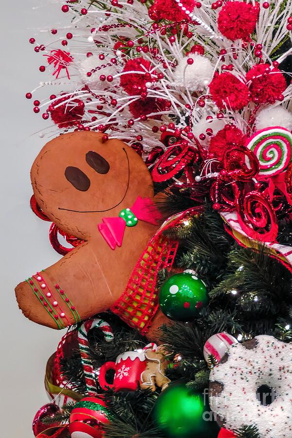 Gingerbread Man Photograph - Gingerbread Man by Randy J Heath