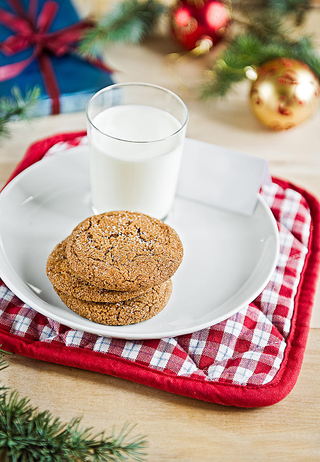 Gingersnaps and milk Photograph by A.Y. Photography