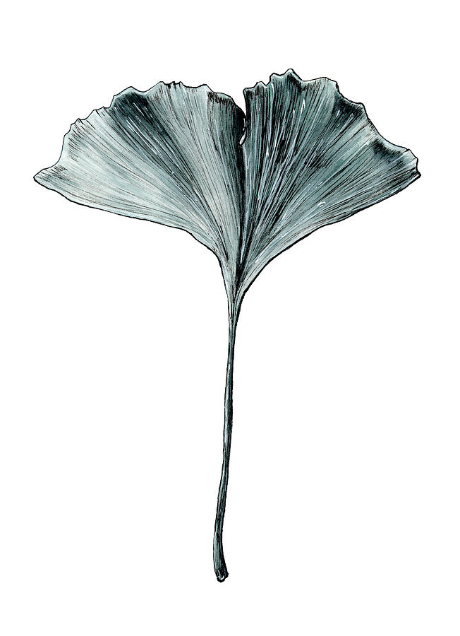 Ginkgo Painting by Amanda Meszaros - Fine Art America