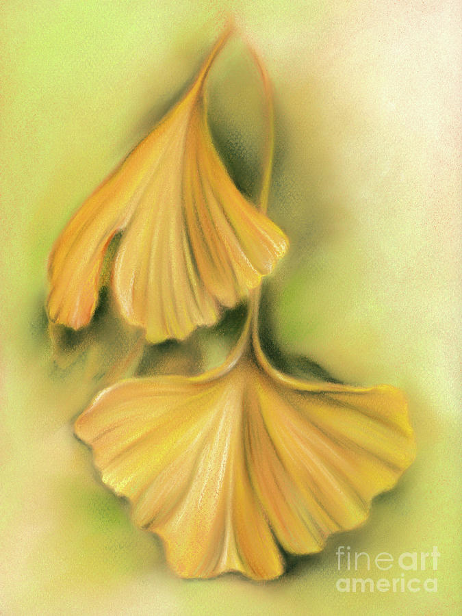Ginkgo Autumn Leaves of Golden Yellow Painting by MM Anderson