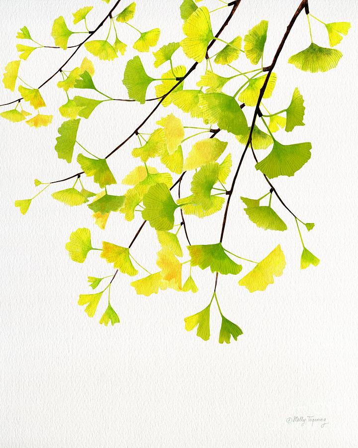 watercolor branches