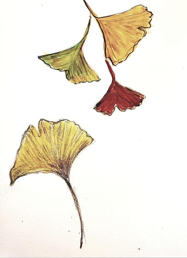 Ginkgo Leaves in the Fall Painting by Margaret Welsh Willowsilk
