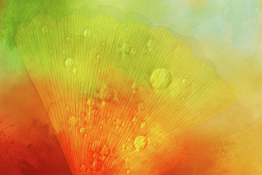 Abstract Digital Art - Ginkgo Splash by Terry Davis