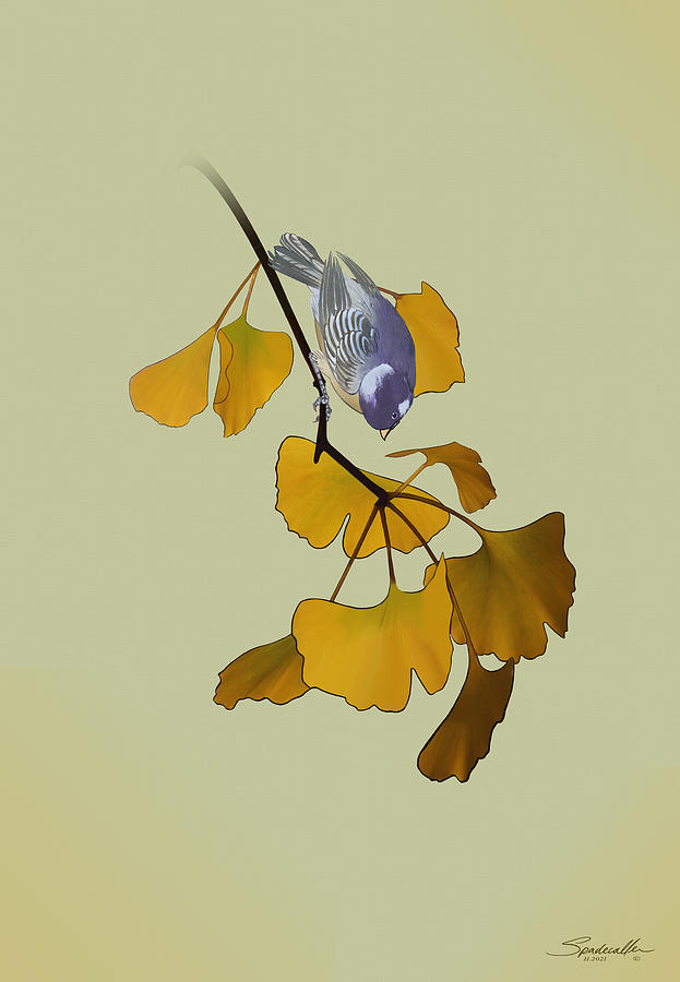 Ginkgo Tree and Bluebird Painting by M Spadecaller