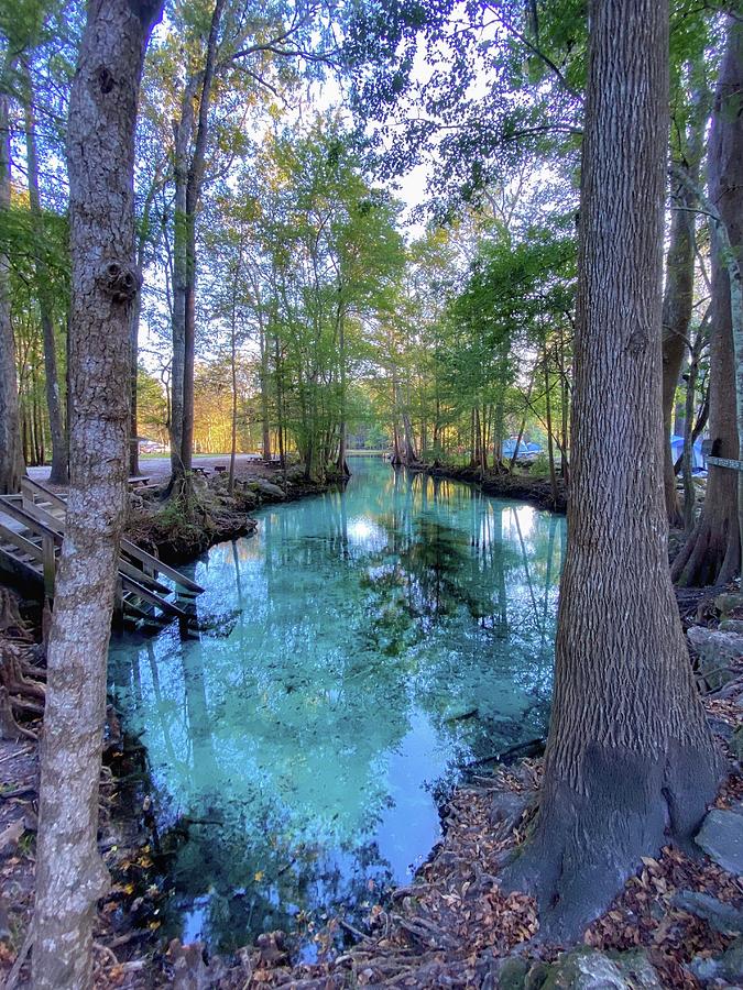 Ginnie Springs Digital Art by Yesaira Rivera - Fine Art America