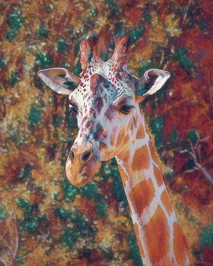 Giraffe Abstract 1 Digital Art by Ernest Echols
