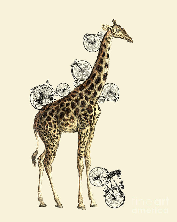 Wildlife Digital Art - Giraffe and bicycles by Madame Memento
