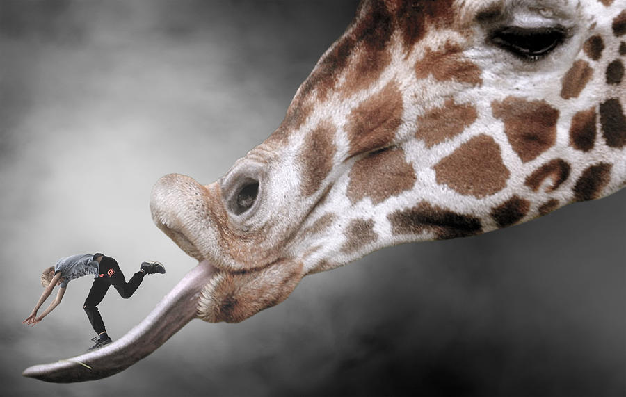 Surrealism Digital Art - Giraffe and Man Surreal by Barroa Artworks