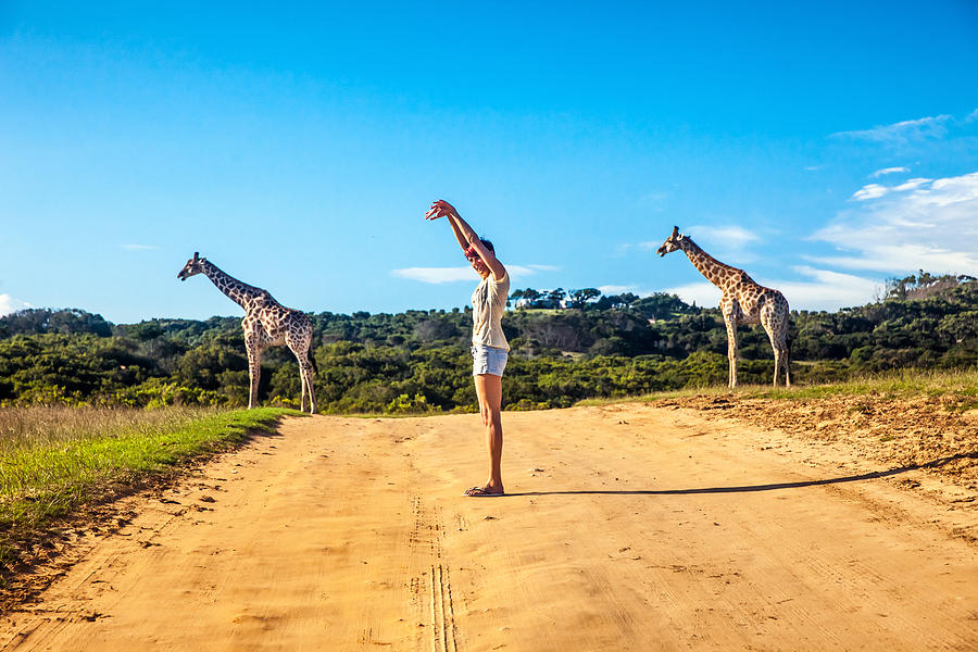 Giraffe Photograph by Casarsa