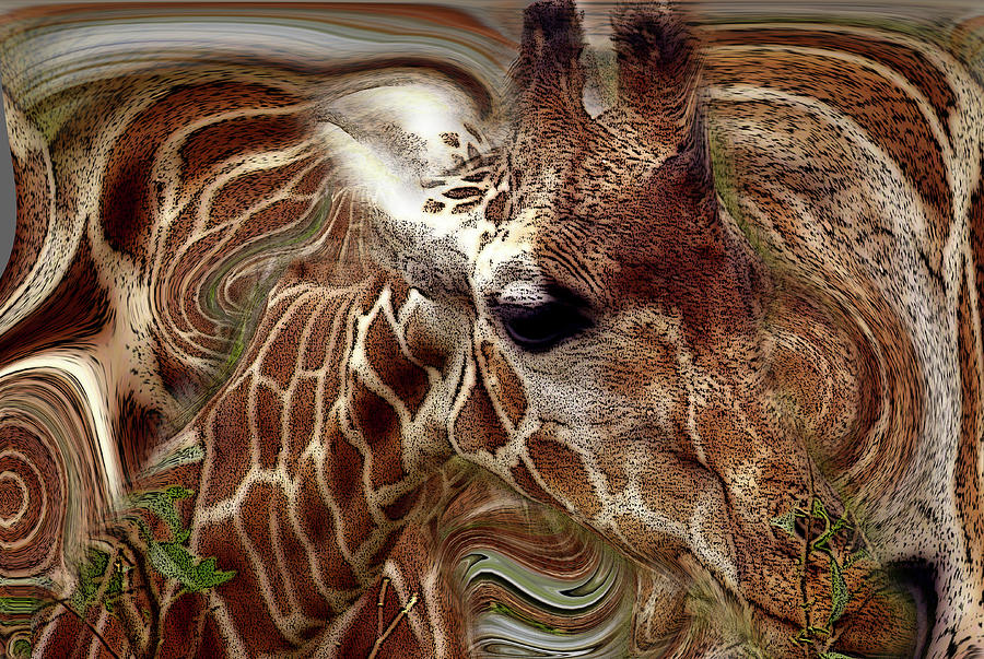 Giraffe Dreams No. 1 Photograph by Wayne King