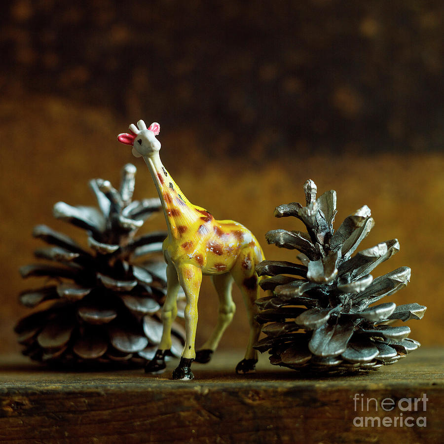 Christmas Photograph - Giraffe figurine and christmas pine cones by Bernard Jaubert