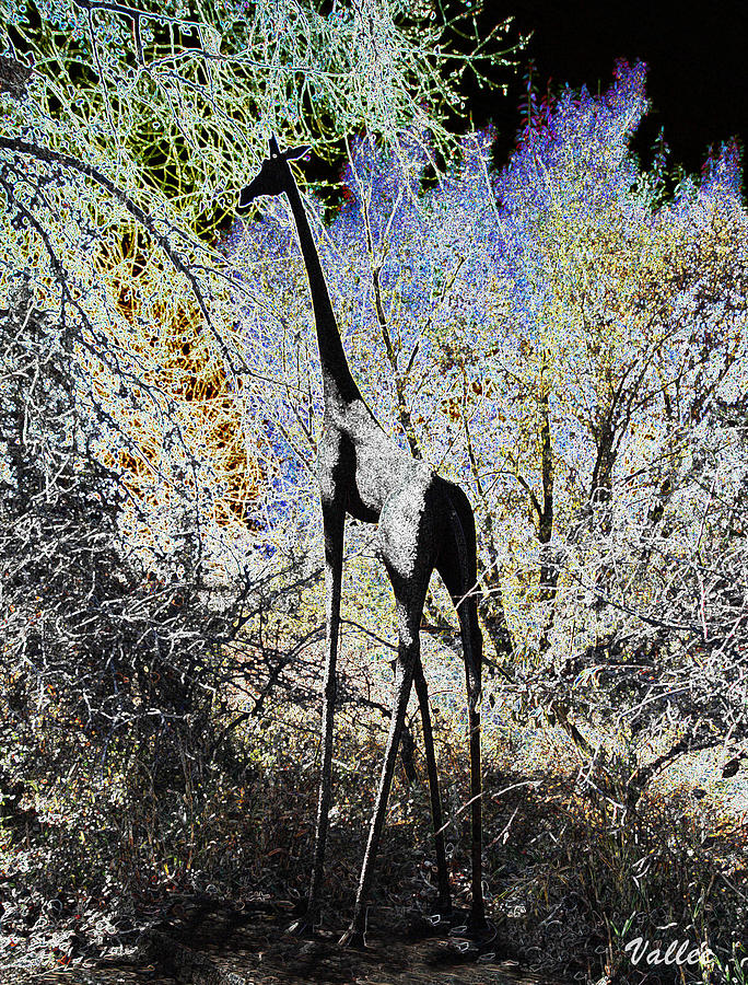Giraffe in Brush Painting by Vallee Johnson