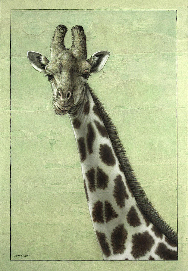 Wildlife Painting - Giraffe by James W Johnson