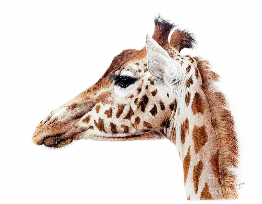 Giraffe Painting by Kimberly Chason