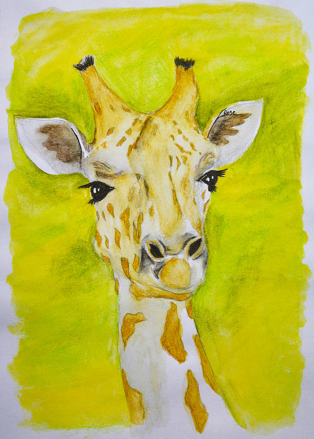 Giraffe Drawing by Olesya Rose - Pixels