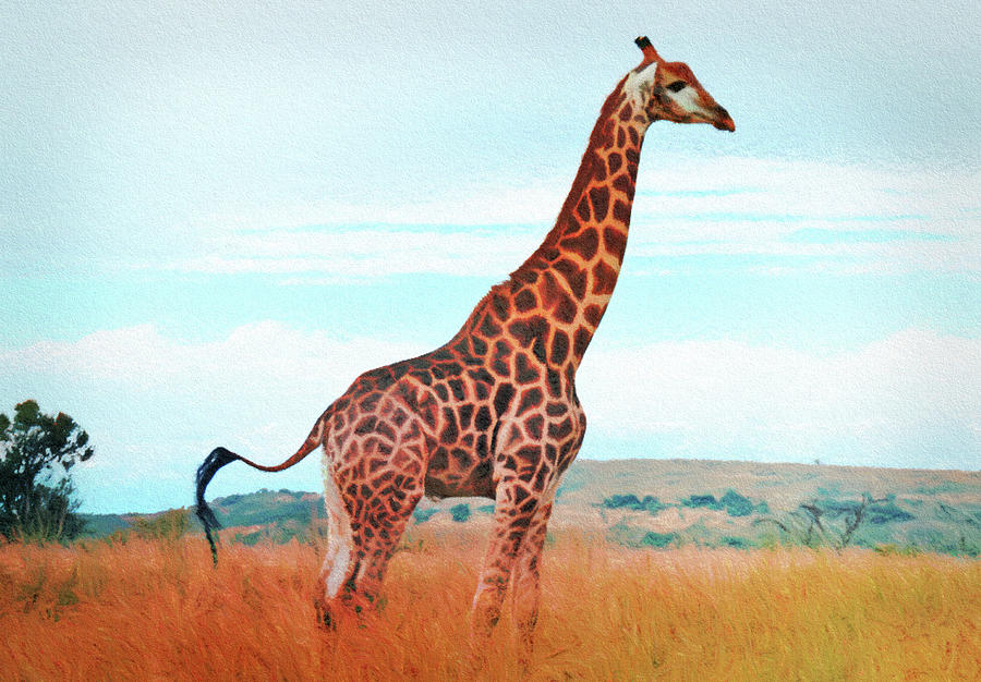 Giraffe On The African Plain Pastel