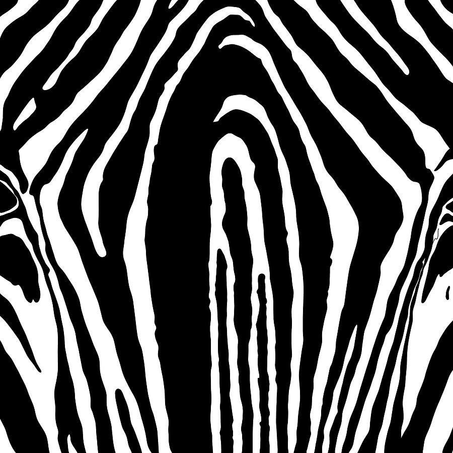 Zebra pattern black and white Painting by Patricia Piotrak