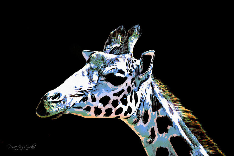 Giraffe Digital Art by Pennie McCracken