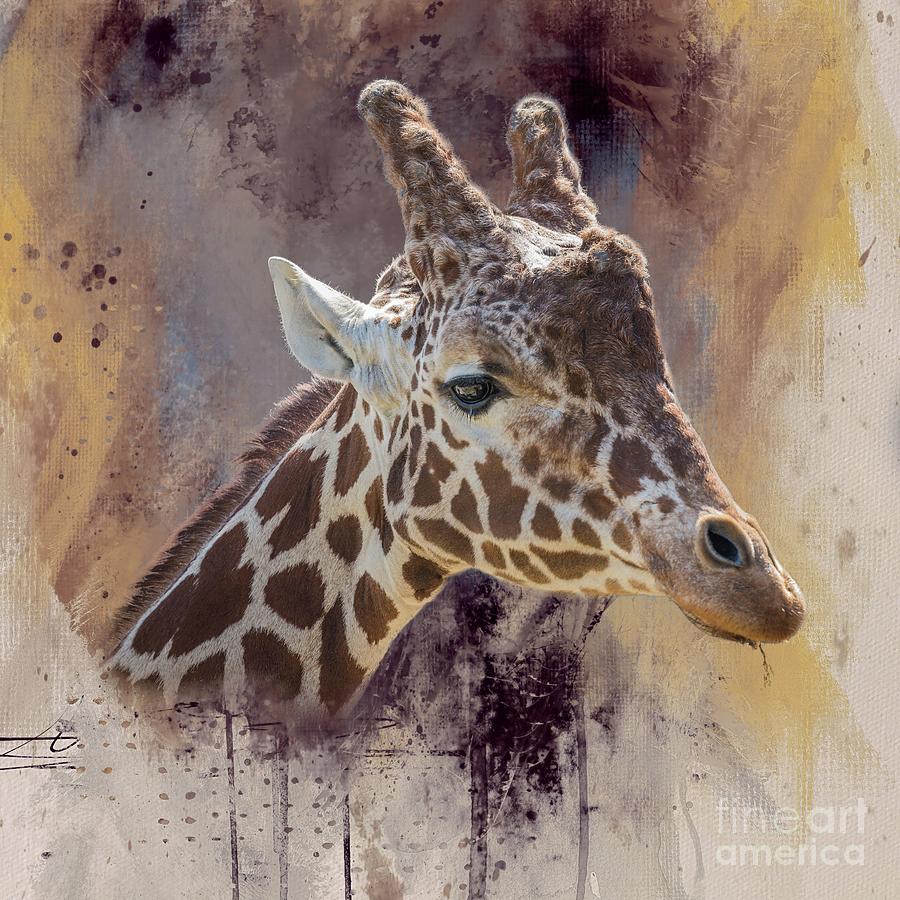 Giraffe Portrait Photograph by Eva Lechner