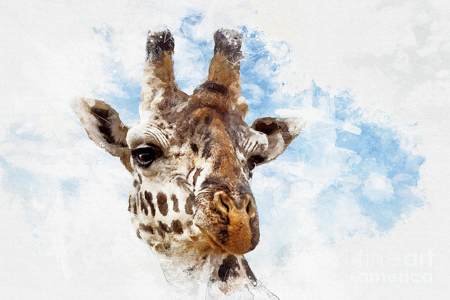 Giraffe portrait mixed media Photograph by Jane Rix