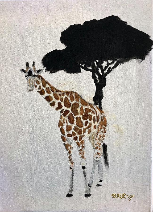 Giraffe  Pastel by Richard Le Page