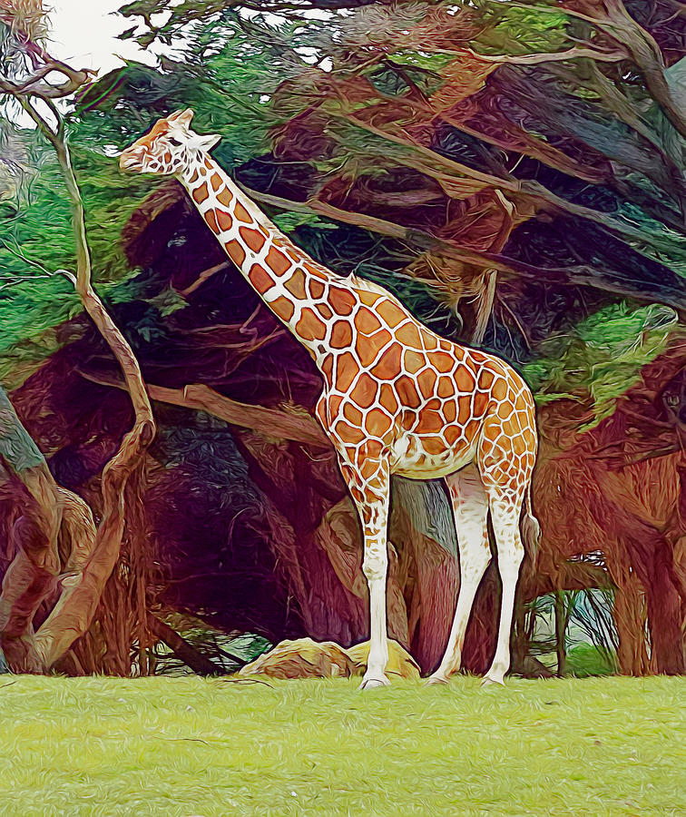 Giraffe Standing Tall Photograph by Her Arts Desire