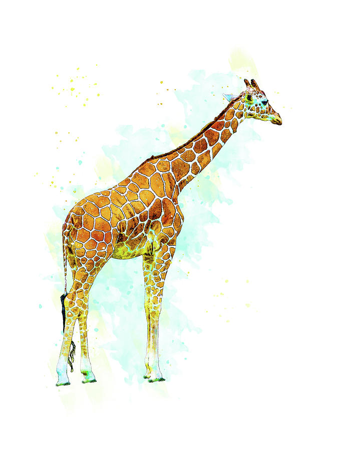 Giraffe Standing Tall Mixed Media by Pamela Williams