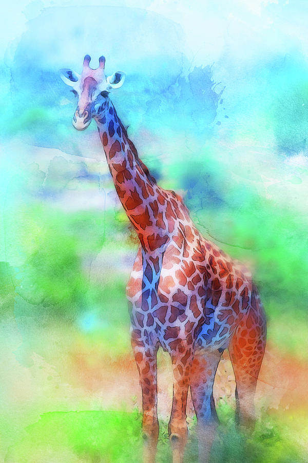 Giraffe Watercolor - 01 Painting by AM FineArtPrints