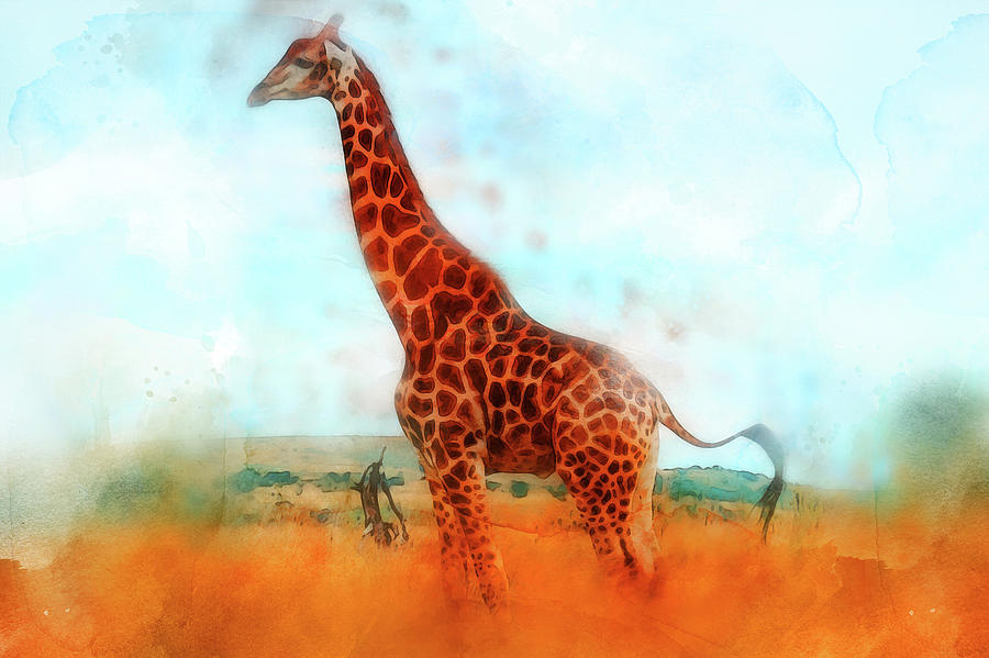 Giraffe Watercolor - 02 Painting by AM FineArtPrints