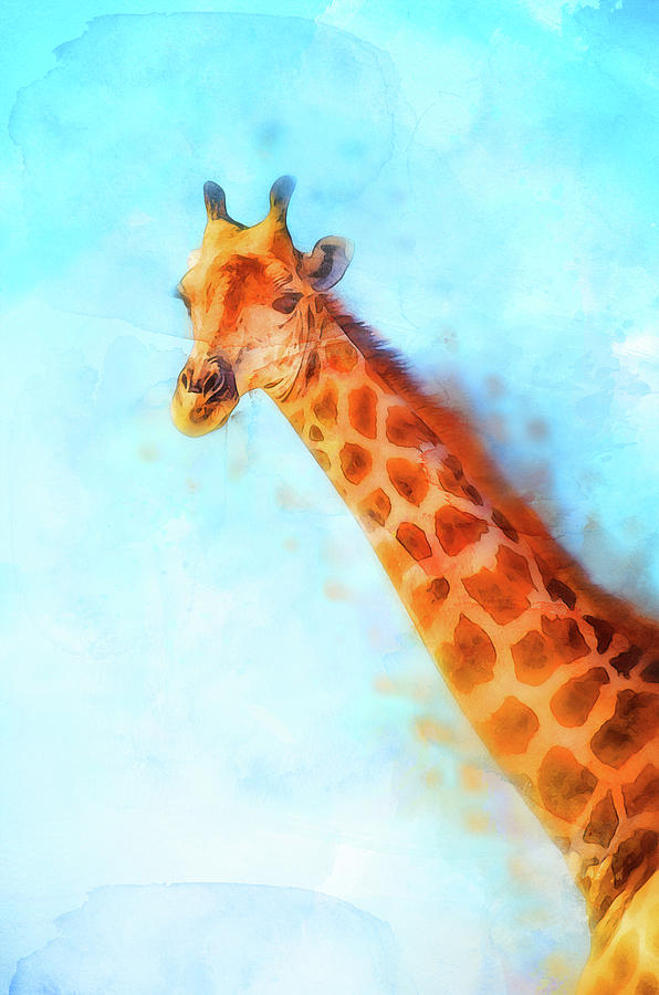 Giraffe Watercolor - 04 Painting by AM FineArtPrints