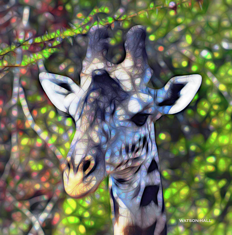 Wildlife Digital Art - Giraffe - Well camoflaged by Marlene Watson