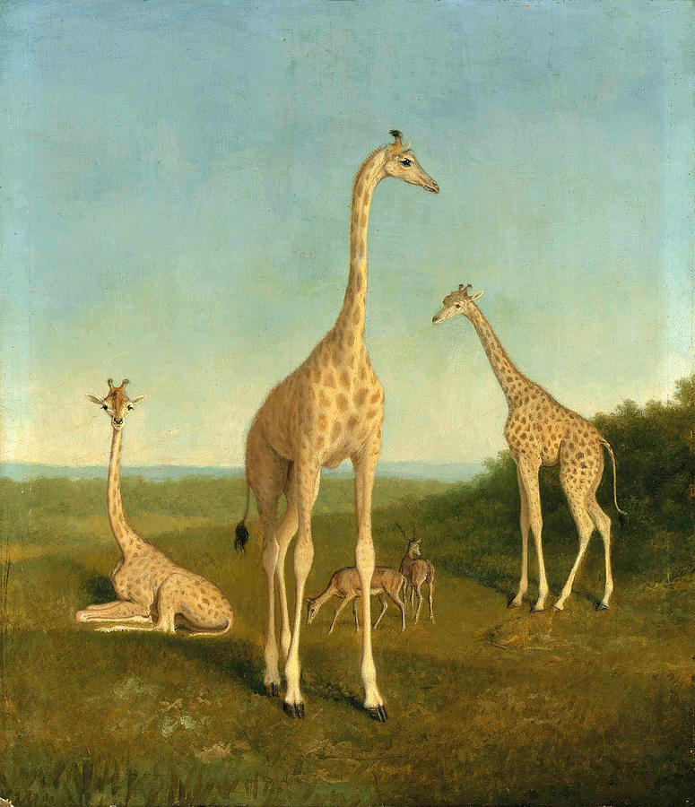  Giraffes with impala in a landscape  Painting by Jacques-Laurent Agasse