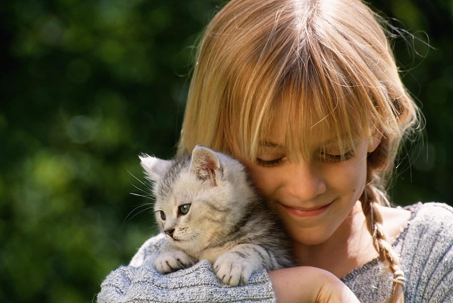 Girl (6-9) holding cat Photograph by David De Lossy