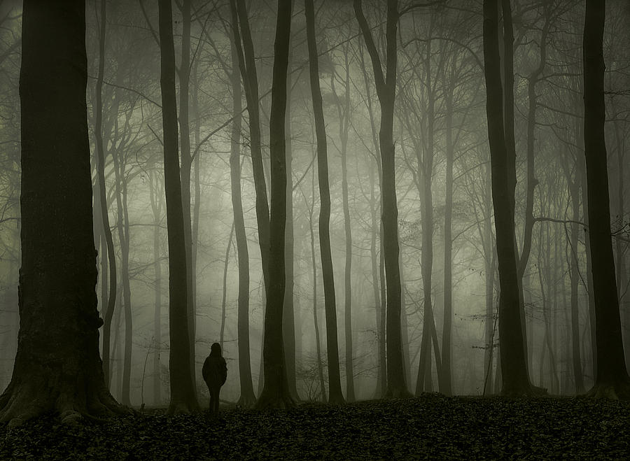 Girl alone in foggy forest Photograph by Peter Polter