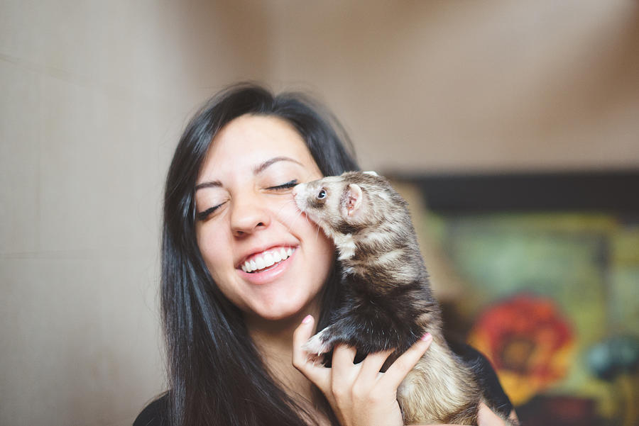 Girl and pet ferret Photograph by Preappy