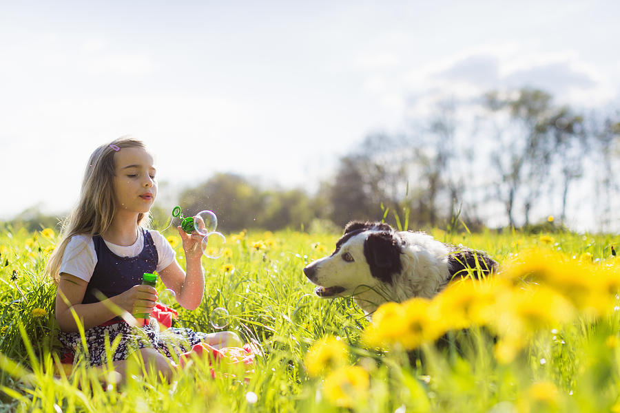 Girl blowing bubbles with dog in field Photograph by jackSTAR