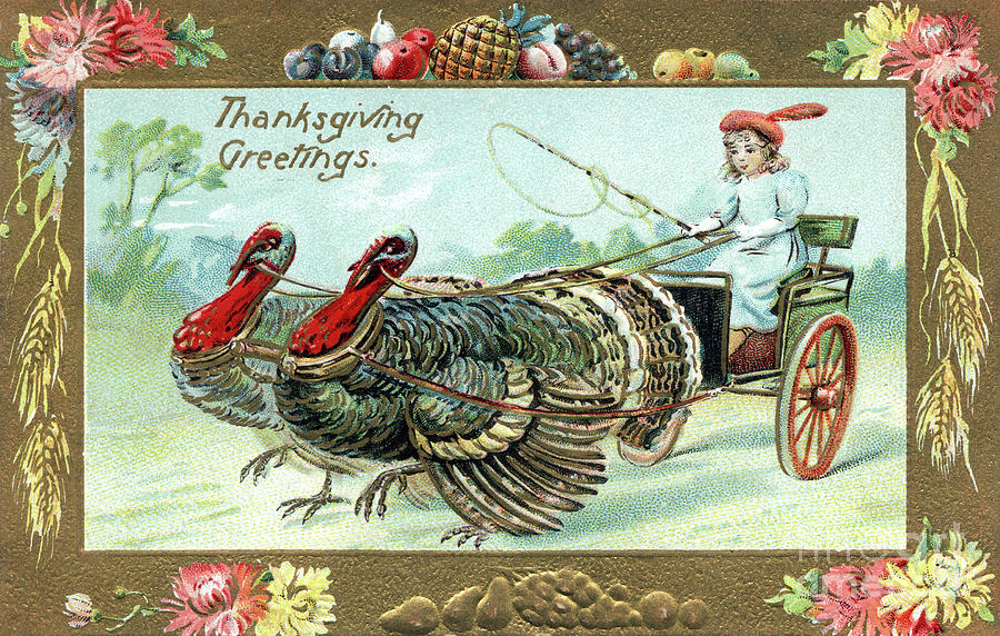 Girl in Surry being pulled by two turkeys Digital Art by Pete Klinger