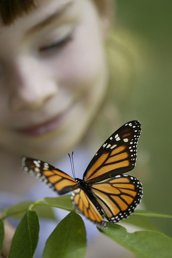 Girl looking at butterfly Photograph by Comstock
