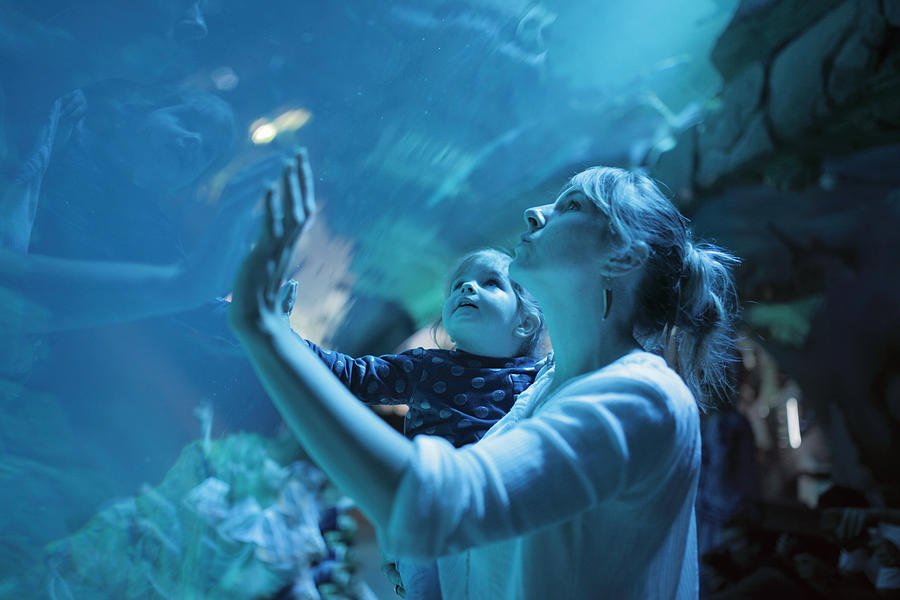 Girl on mother shoulders admiring aquarium Photograph by Stanislaw Pytel