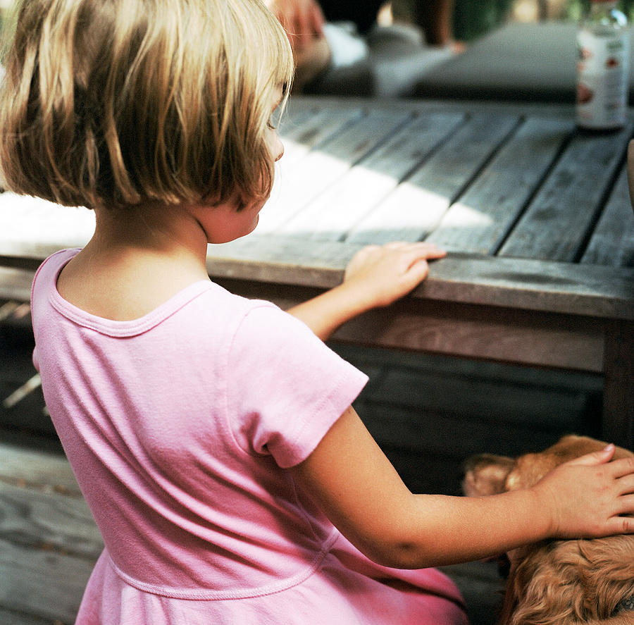 Girl petting golden retriever Photograph by Scott Zdon