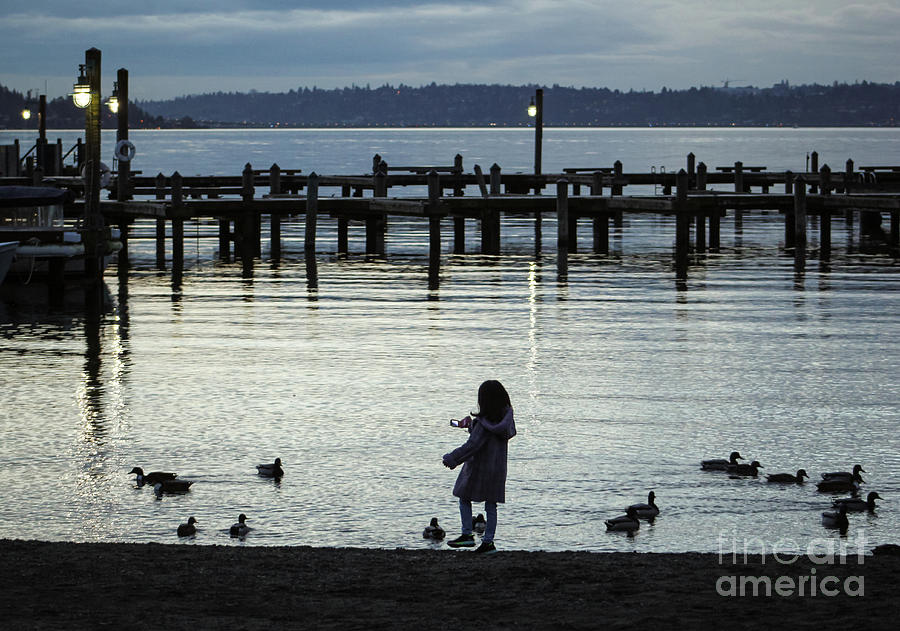 Girl Photographing Ducks in the Blue Hour Photograph by Sea Change Vibes