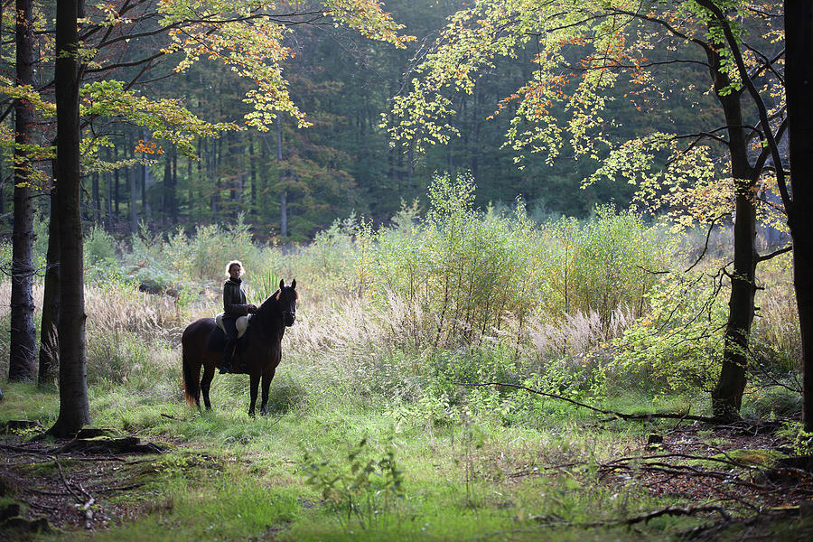 Girl Riding A Horse In A Ganlose Ore Forest In Denmark 2015 Photograph