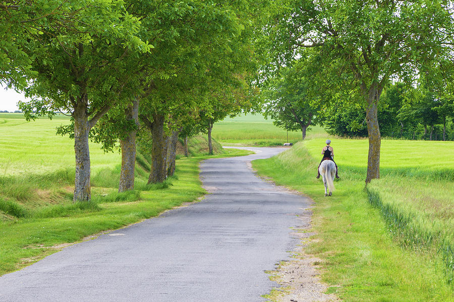 Girl riding horse in a country road Photograph by Fabiano Di Paolo