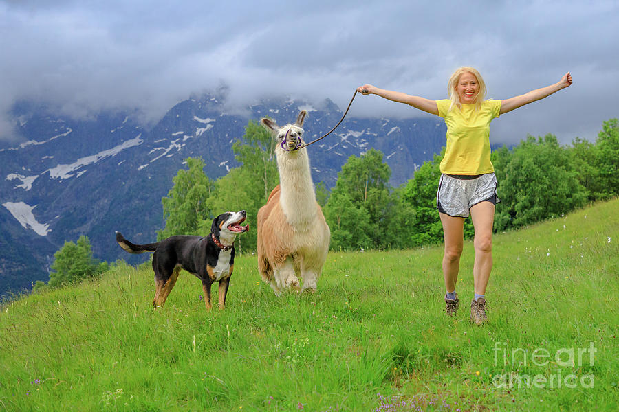 Summer Digital Art - Girl running with alpaca llama on Comino mount by Benny Marty