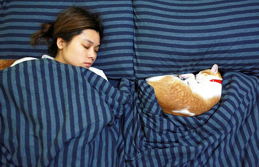 Girl Sleep With Her Ginger Cat Photograph by LewisTsePuiLung