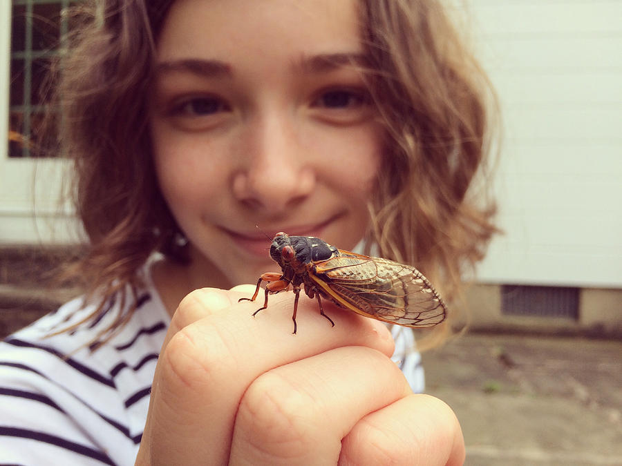 Girl Studying Cicada Photograph by Cyndi Monaghan
