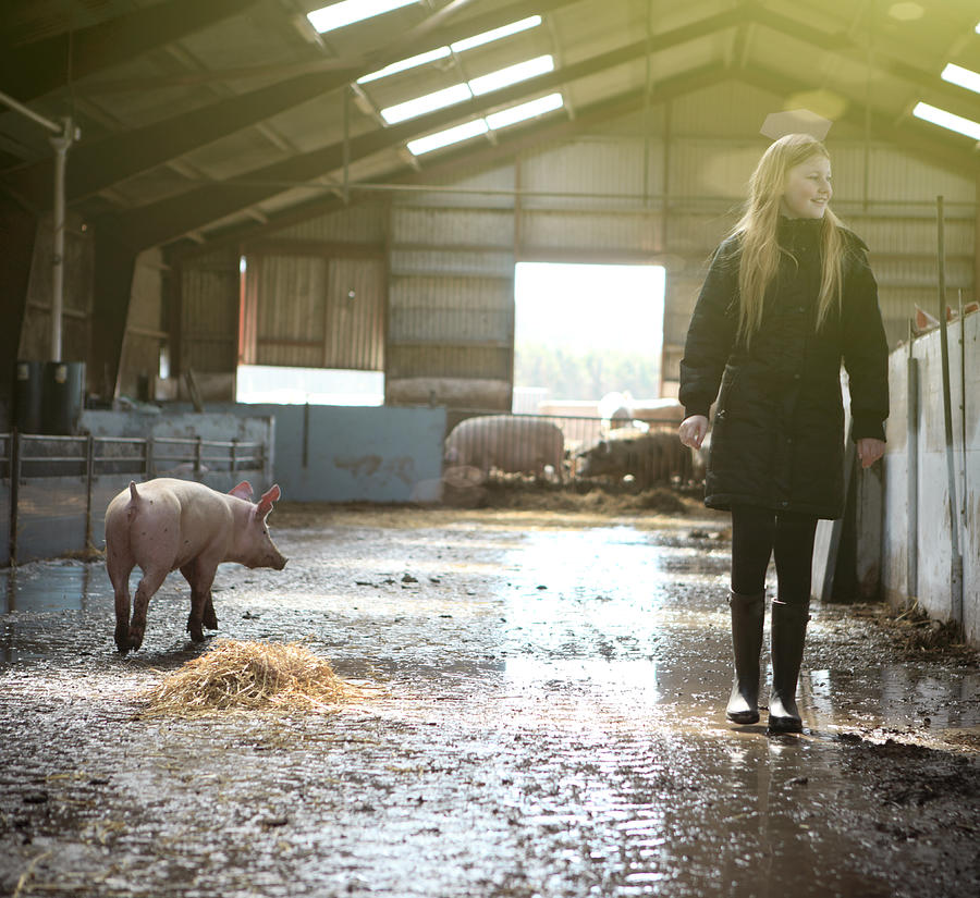 Girl visiting organic pig farm. Photograph by T-lorien